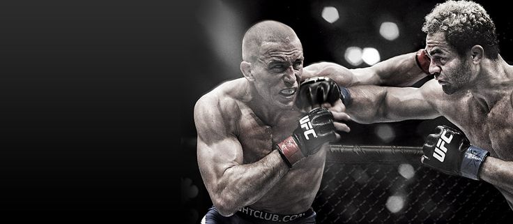 Fight Analysis